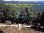 NMR Investigations of Natural Organic Matter in Forest