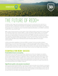 the future of redd+ - Conservation International