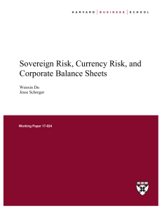 Sovereign Risk, Currency Risk, and Corporate Balance Sheets.