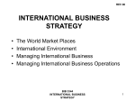 international business strategy