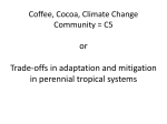 Trade off between Adaptataion and Mitigation - CCAFS