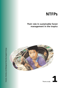 NTFPs - Their role in sustainable forest management in the tropics