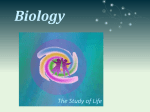 Biology - Down the Rabbit Hole