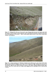 Soil Survey of Part of the Wither Hills
