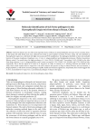 Molecular identification of tick-borne pathogens in