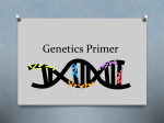 Genetics Primer