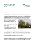 White pine needle browning and defoliation pest alert