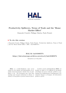Productivity Spillovers, Terms of Trade and the `Home Market Effect`