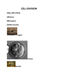 CELL-DIVISION CELL LIFE CYCLE a)Division b)Elongation c