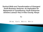 Tactical Skills and Transformation of Emergent Youth Business