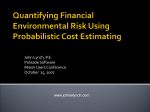 Financial Environmental Risk Quantification Using Probabilistic Cost