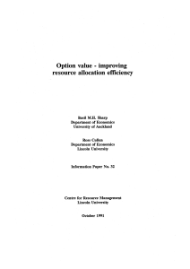 Option value-improving resource allocation efficiency