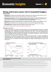 Rising petrol price poses risk to household budgets