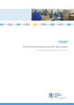 FEMIP - The Potential of Mesofinance for Job Creation in