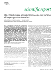 Blm10 binds to preactivated proteasome core particles with open