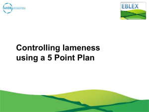 Controlling lameness using a 5 Point Plan