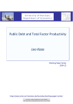 Public Debt and Total Factor Productivity