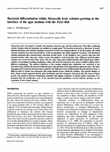 Bacterial differentiation within Moraxella bovis colonies growing at