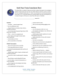 Earth Peace Treaty Commitment Sheet