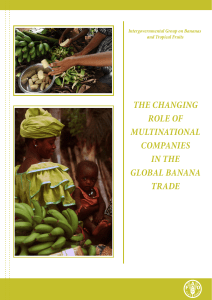 The changing role of multinational companies in the global banana
