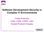 Software Development Security in Complex IT