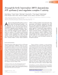 Drosophila Sirt2/mammalian SIRT3 deacetylates ATP synthase and