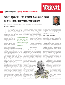 What Agencies Can Expect Accessing Bank Capital in