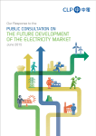 of the electricity market the future development