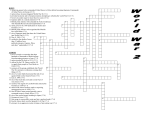 World War II Crossword