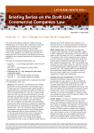Briefing Series on the Draft UAE Commercial Companies Law