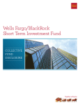 Wells Fargo/BlackRock Short-Term Investment Fund Disclosure