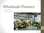 Wholesale Flowers - Illinois Specialty Growers Association