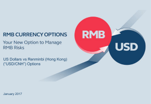usd/cnh options product information
