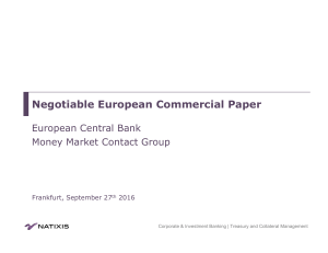 Negotiable European Commercial Paper