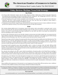 Policy Review Medium Term Debt Strategy