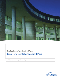Long-Term Debt Management Plan