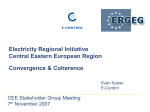 Electricity Regional Initiative Central Eastern European Region