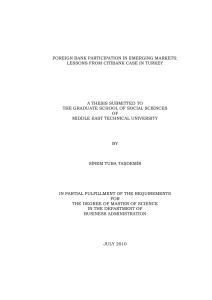 foreign bank participation in emerging markets