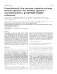 Phospholipase C-γ1 is a guanine nucleotide exchange factor for