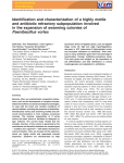 Identification and characterization of a highly motile and antibiotic