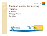 Startup Financial Engineering Tutorial