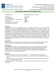 T-Cell Receptor (TCR) Gene Rearrangement, PCR