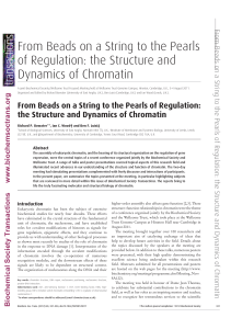 Beads on a string Bowater Biochem Soc Trans 2012