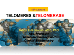 9- Telomeres and Telomerase