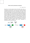 Genetic control by riboswitches and ribozymes