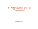 The Autoregulation of Gene Transcription