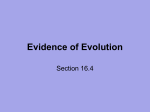 Evidence of Evolution