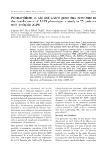 Polymorphisms in FAS and CASP8 genes may contribute to the