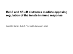 Bcl-6 and NF-κB cistromes mediate opposing regulation of the