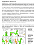 What is Social Darwinism